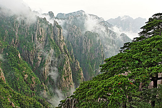 迷幻类药品商城网站推荐-appC1B8D97C5-18975